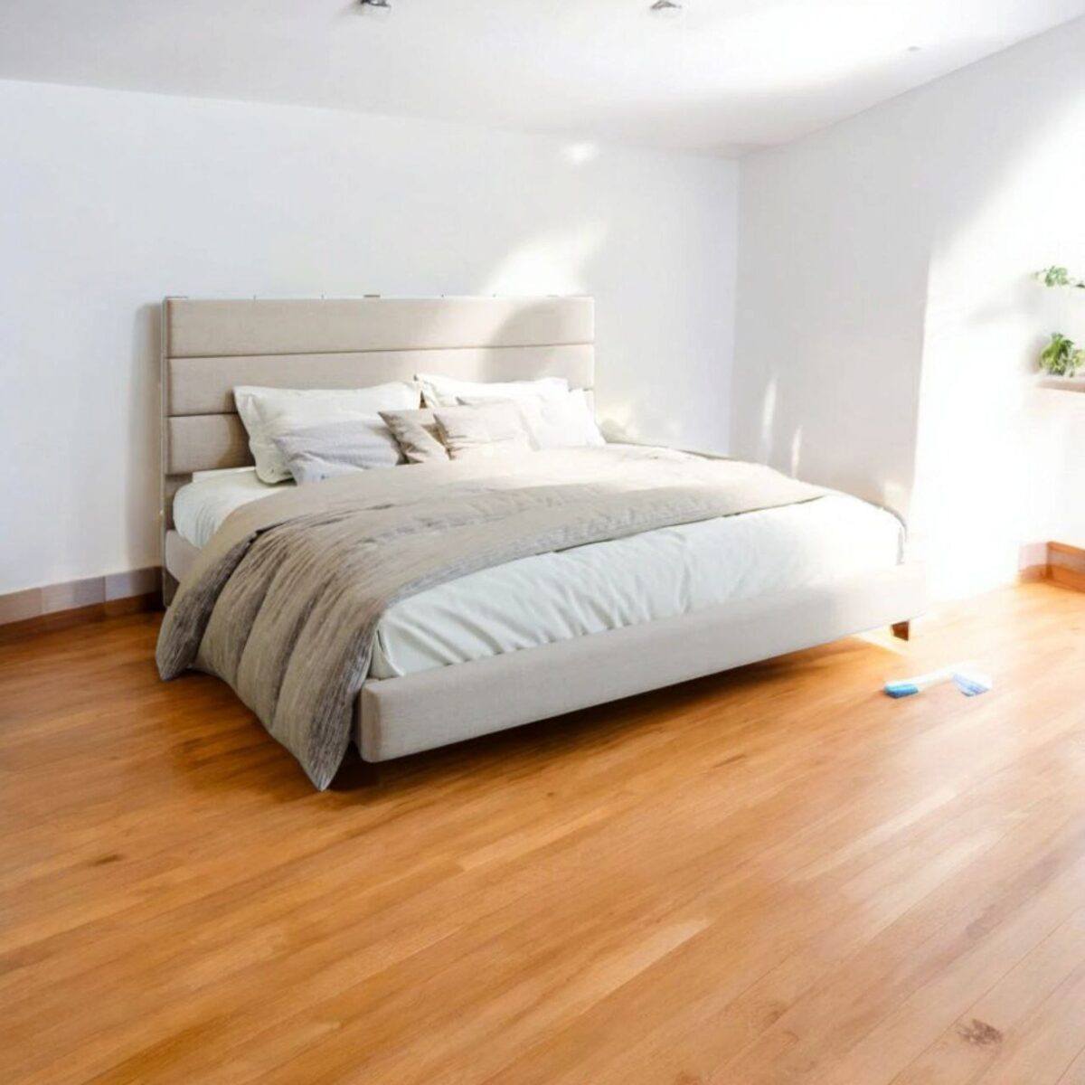 velvet bed