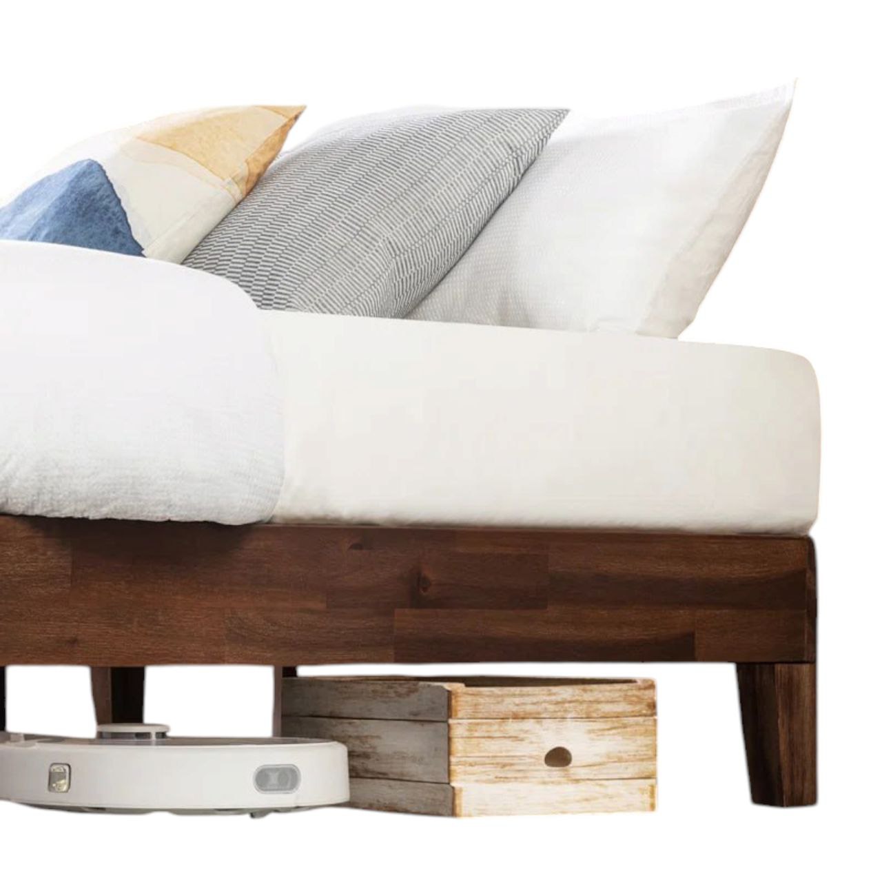 photo_2025-04-06_11-05-45