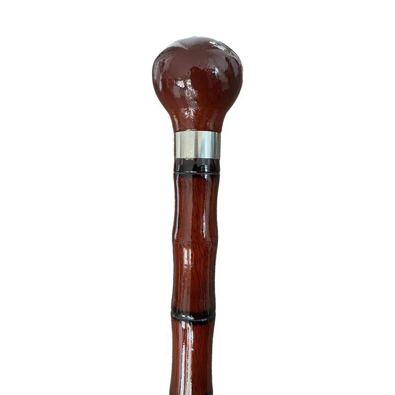 Walking Stick Walking Stick